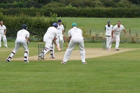 cricket 2